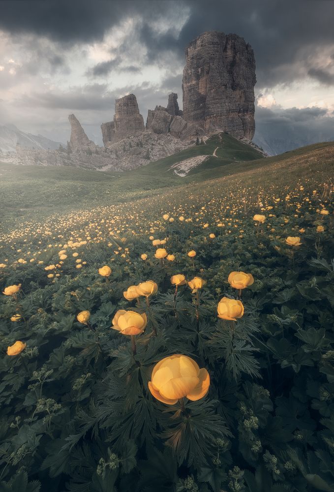 Photograph by Giacomo Finotti