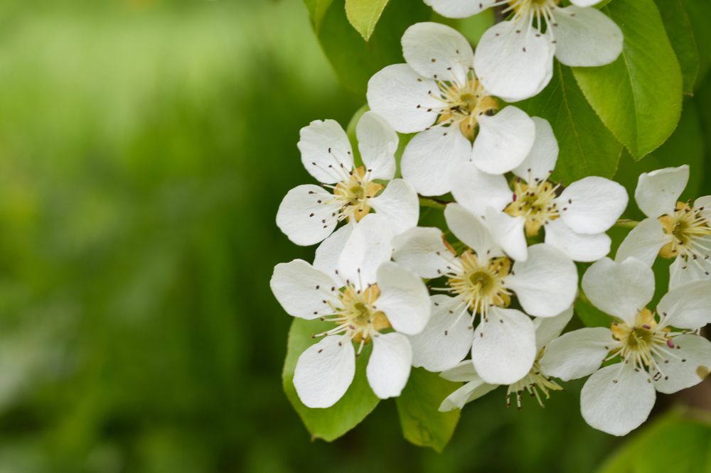 Photograph by Лариса Толкачёва