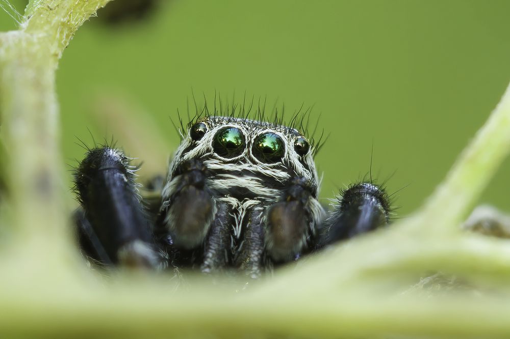 Photograph by Александр Рындин