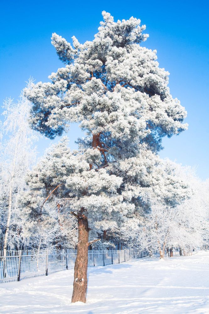 Photograph by Елена Румянцева