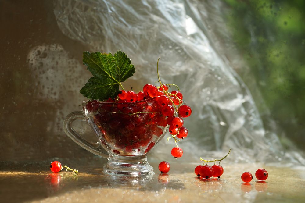 Photograph by Ольга Пуховникова