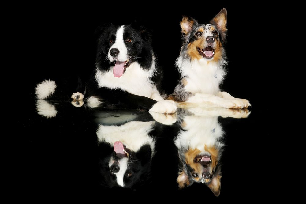 Фотография автора Ricardo Q T Rodrigues