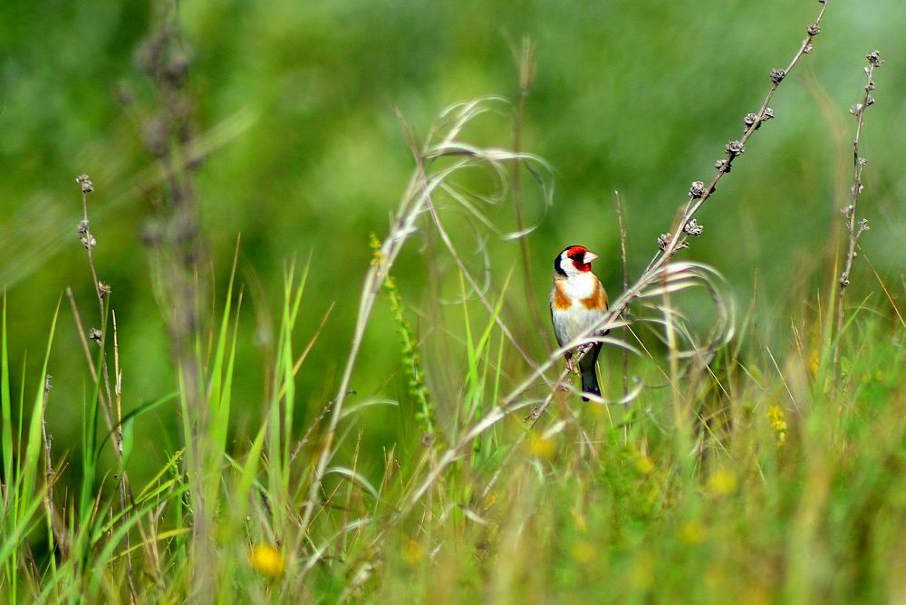 Photograph by Алексей Литвинов