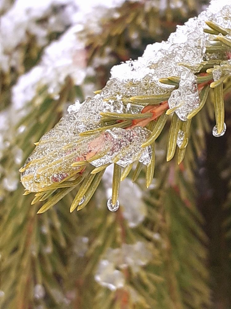 Photograph by Евгения Ульянова