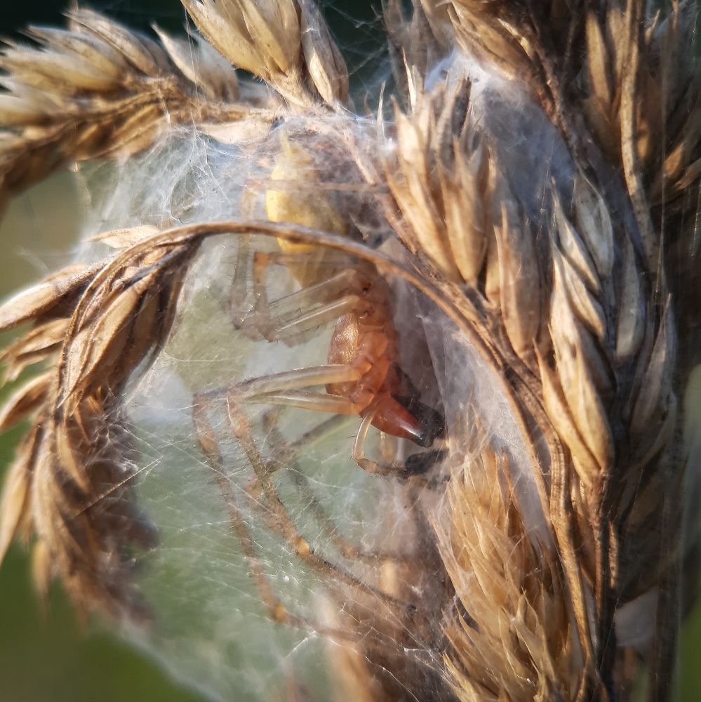 Photograph by Юлия Быкова