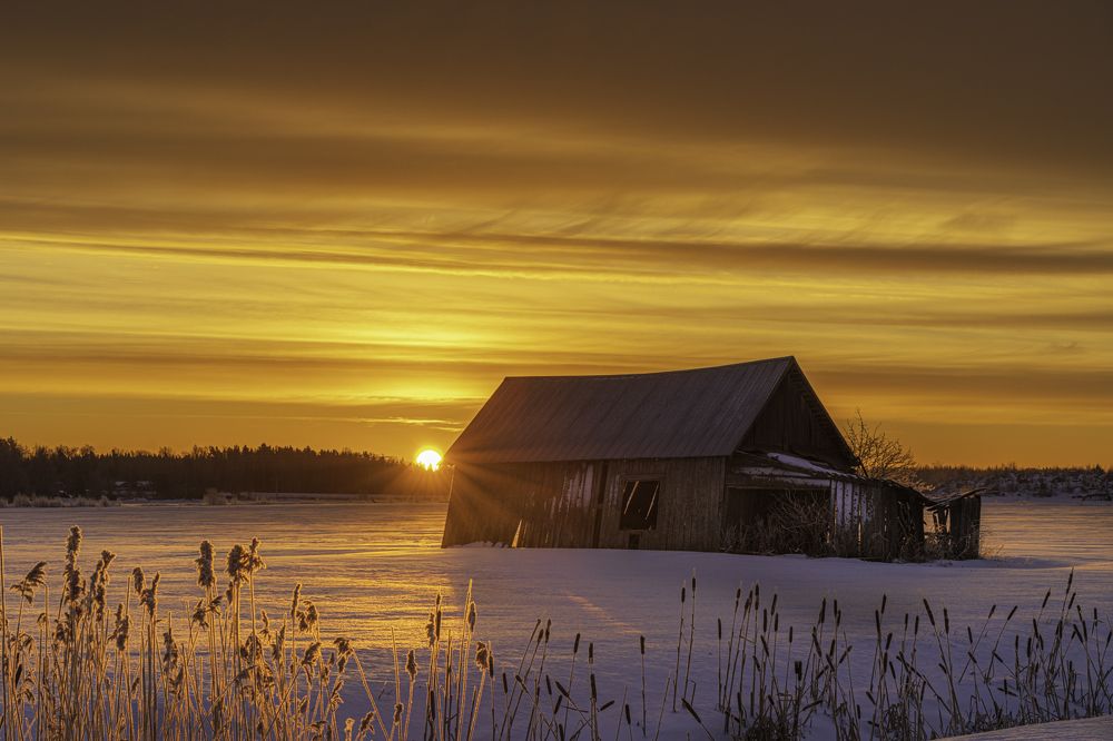 Фотография автора Katrin Lillenthal