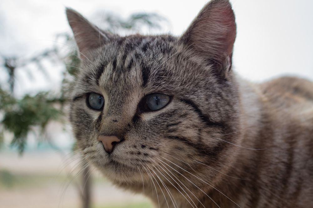 Photograph by Светлана