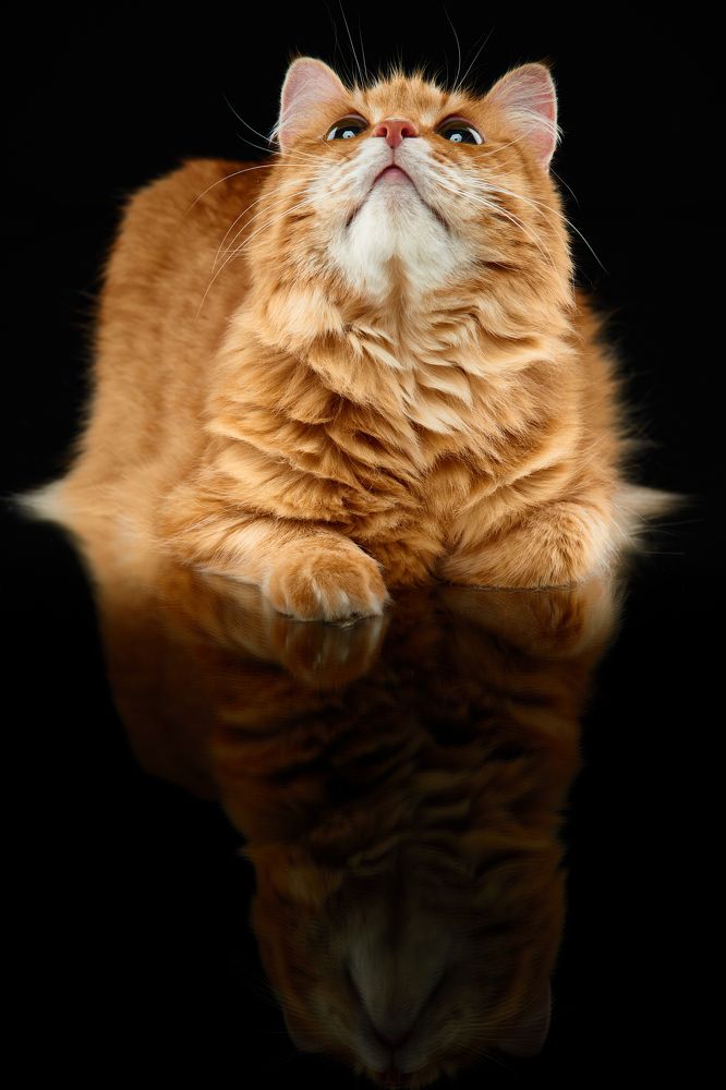 Photograph by Anatoly