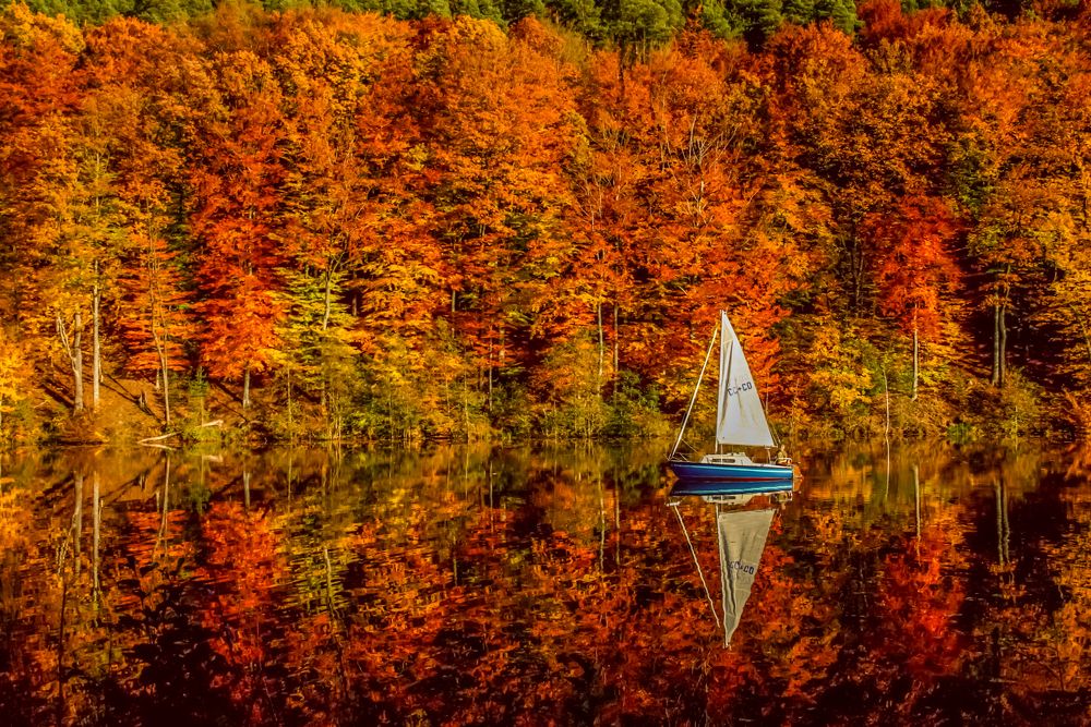 Photograph by Анжелика Костин