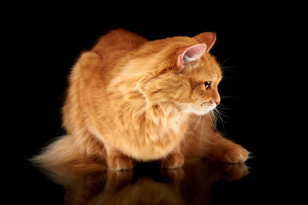 Photograph by Anatoly