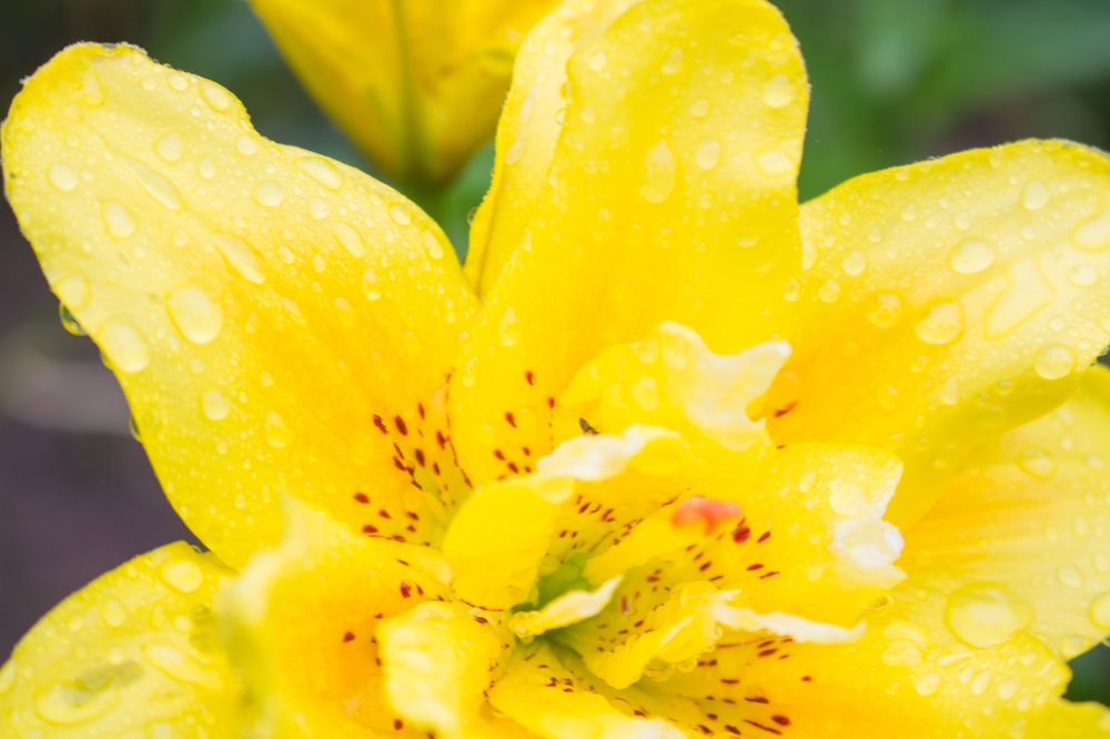 Photograph by Светлана