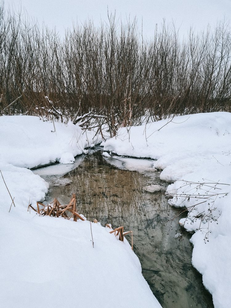 Photograph by Елена