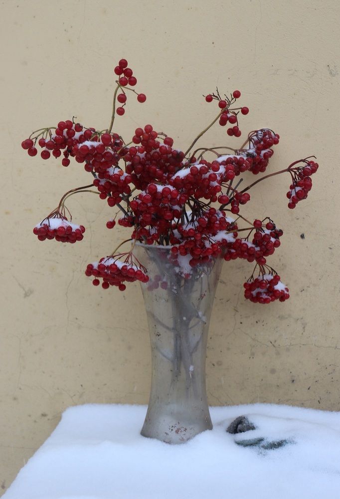 Photograph by Алексейчик Дмитрий