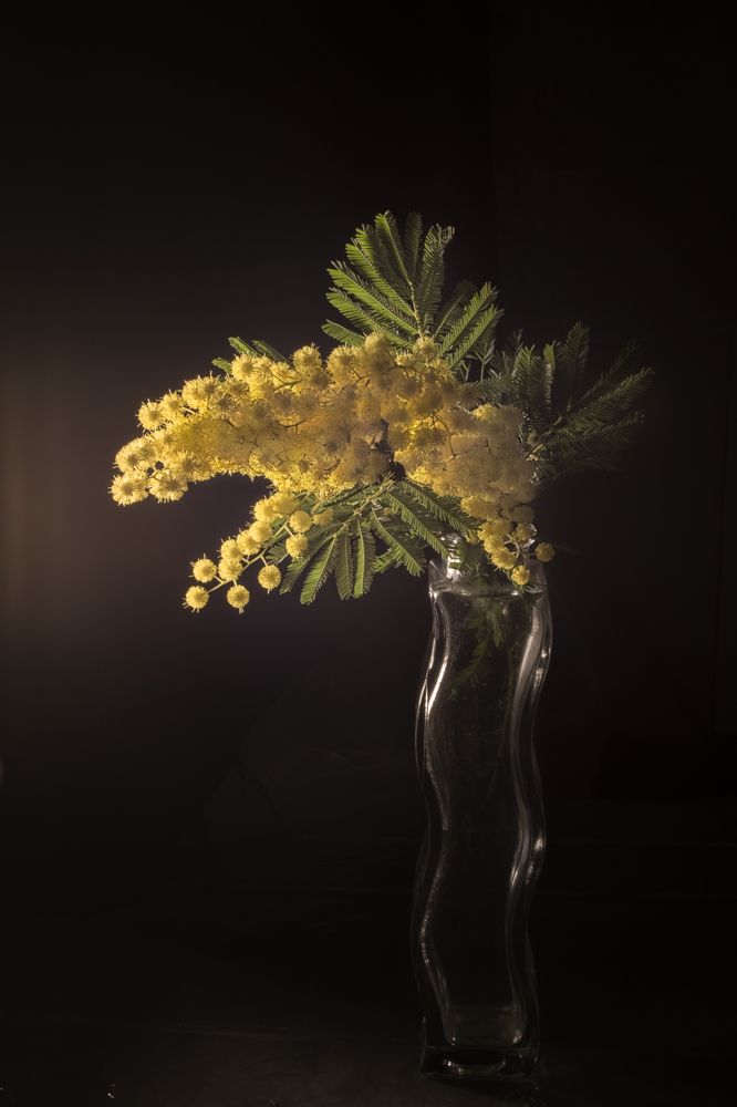 Photograph by Viktoria Alaküla