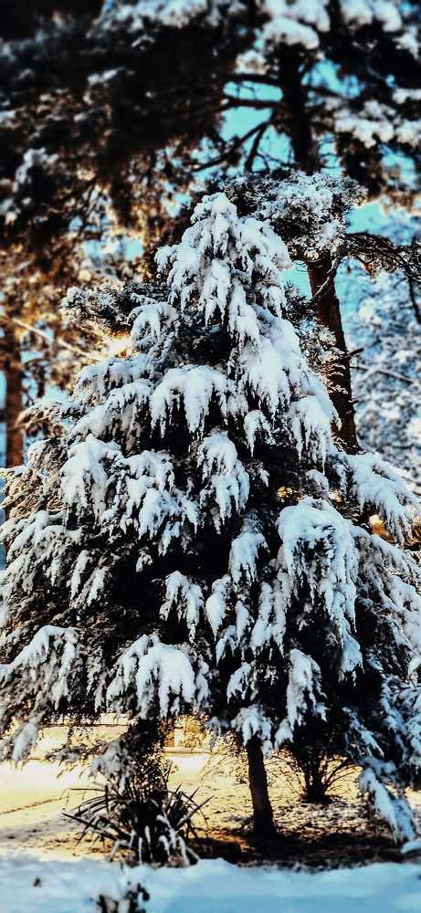Photograph by Елена Чертова