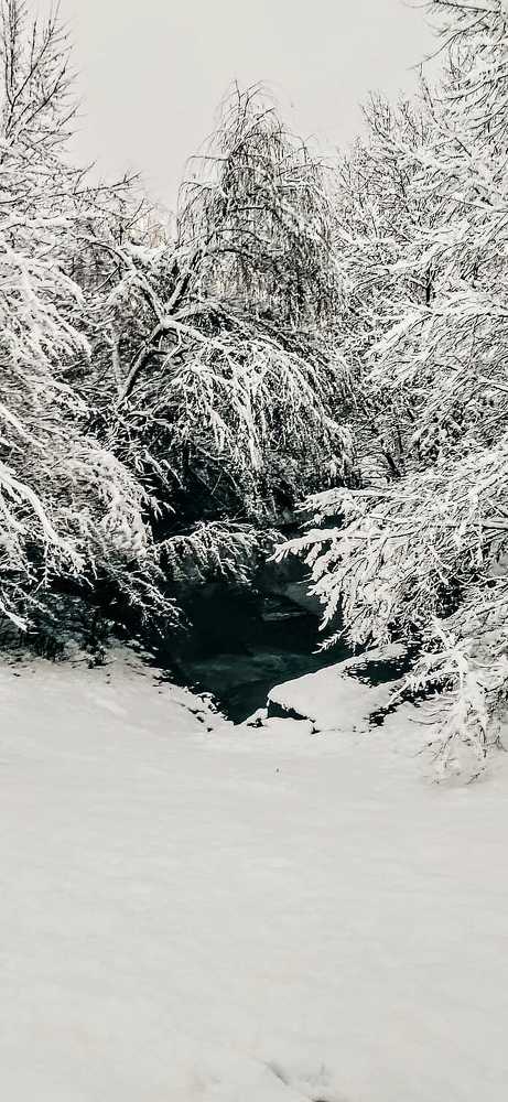 Photograph by Елена Чертова