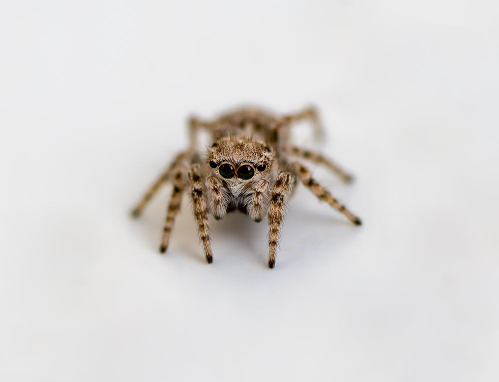 Photograph by Денис Дроздов