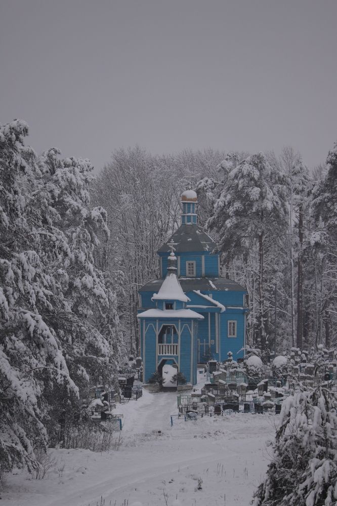 Яркие контрасты зимней красоты