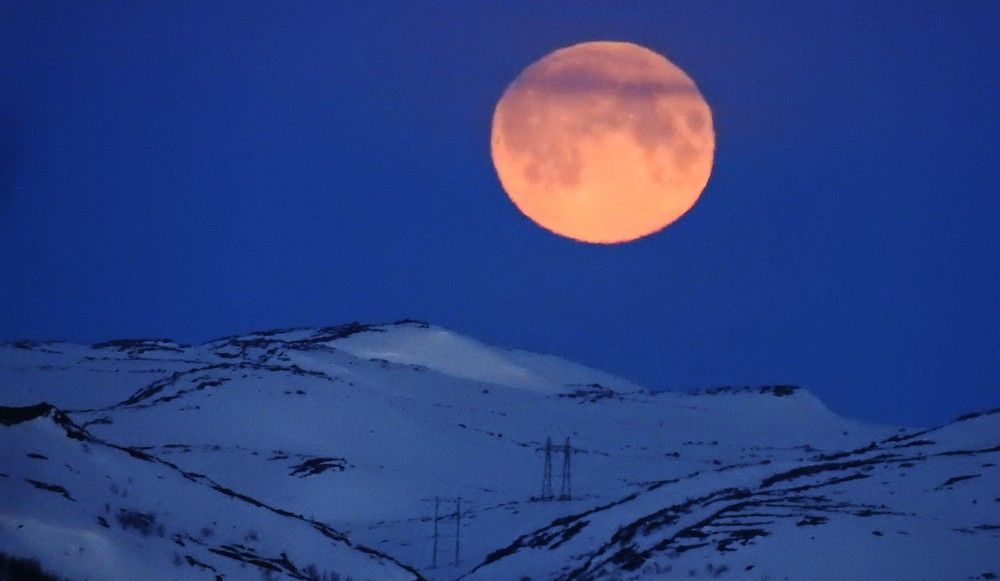Moon in the night
