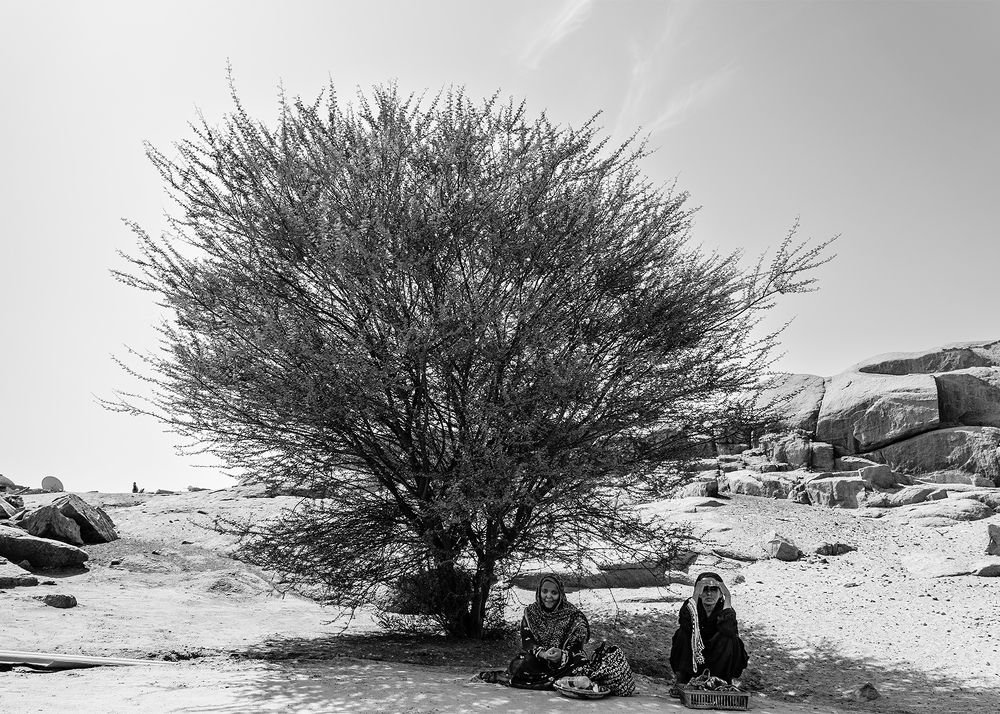 Photograph by Marwa Elchazly