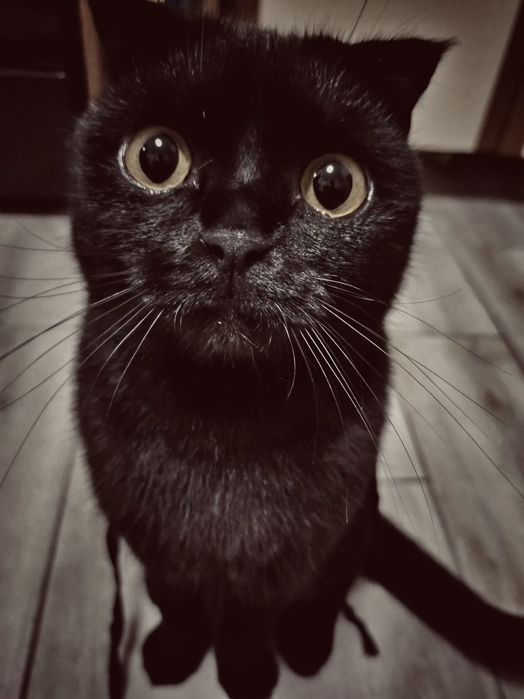 Photograph by Оксана Павлюченко