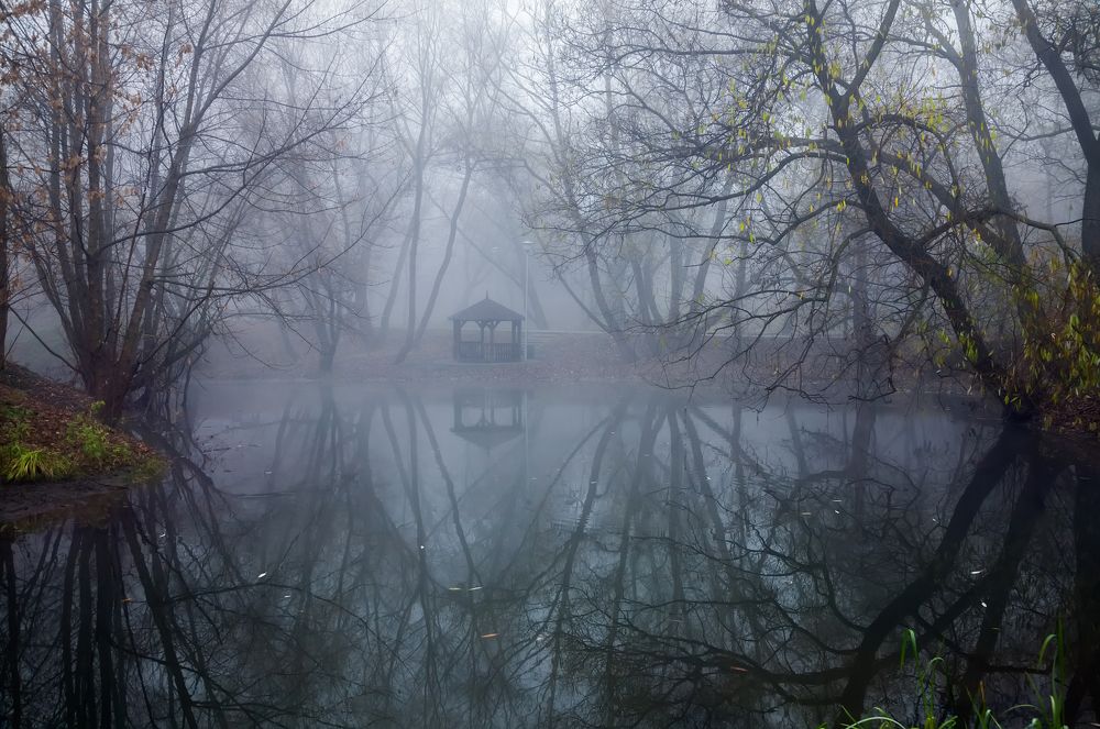 Фотография автора Dmitry Finkel