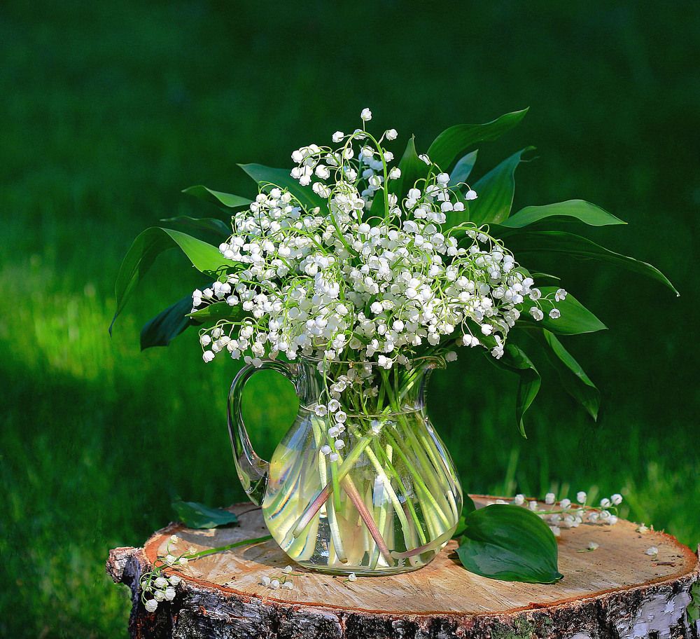 Светлого мая привет