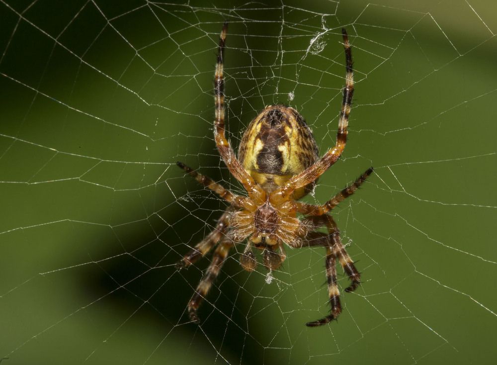 Фотография автора Марина Кулакова