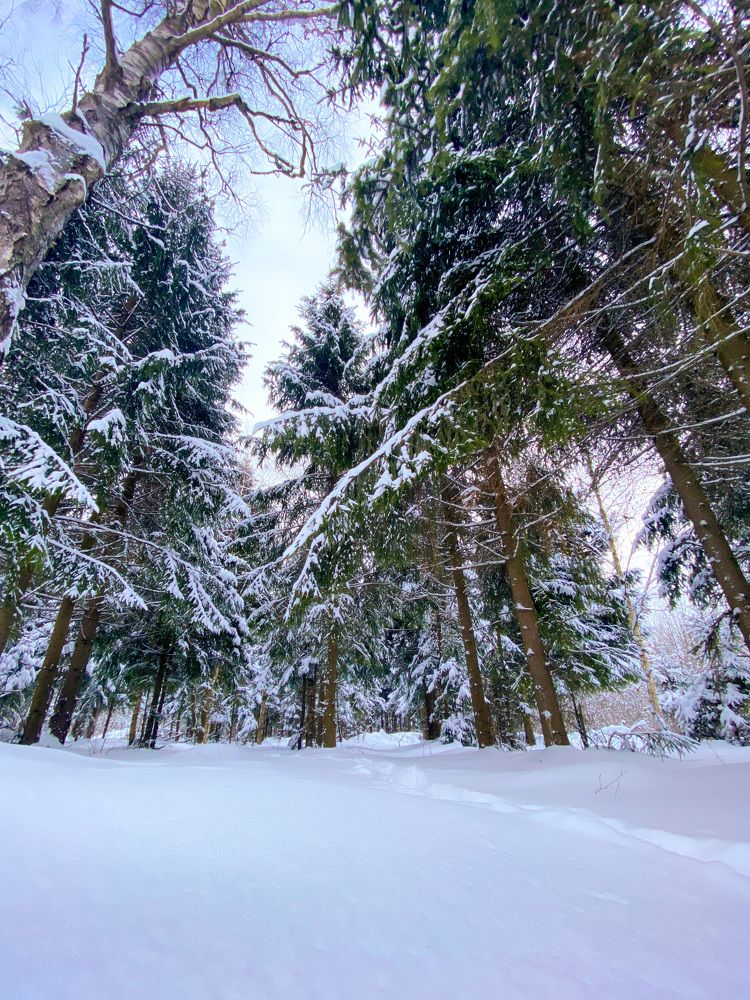 Photograph by Яна Лугинина