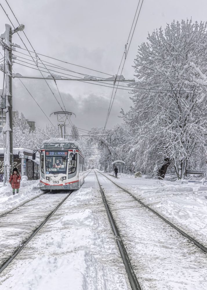 Photograph by Юрий Левко