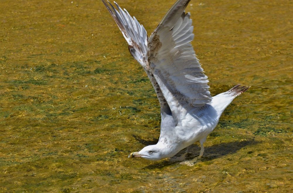 Photograph by Наталья Иванова