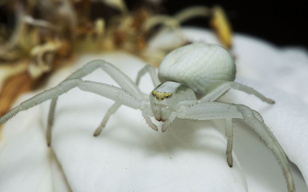 Фотография автора Марина Кулакова