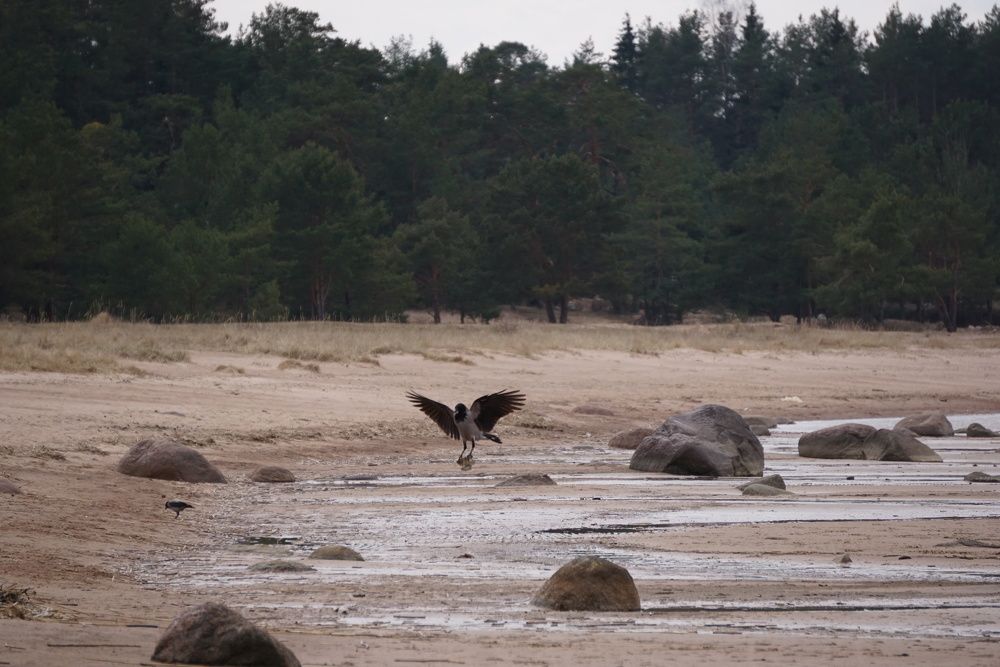 Photograph by NATALYA TOLSTOVA