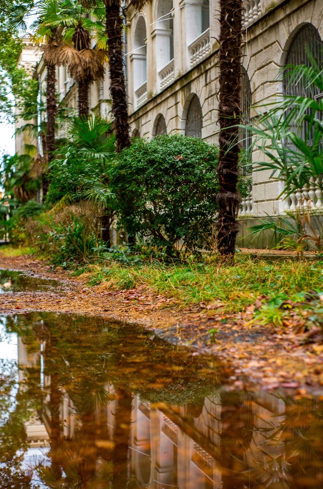 Photograph by Мария Ткаченко