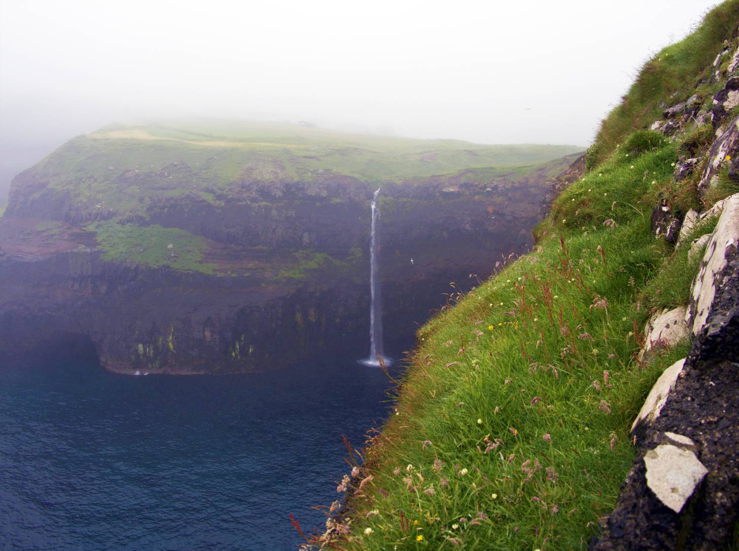 Photo #7066288