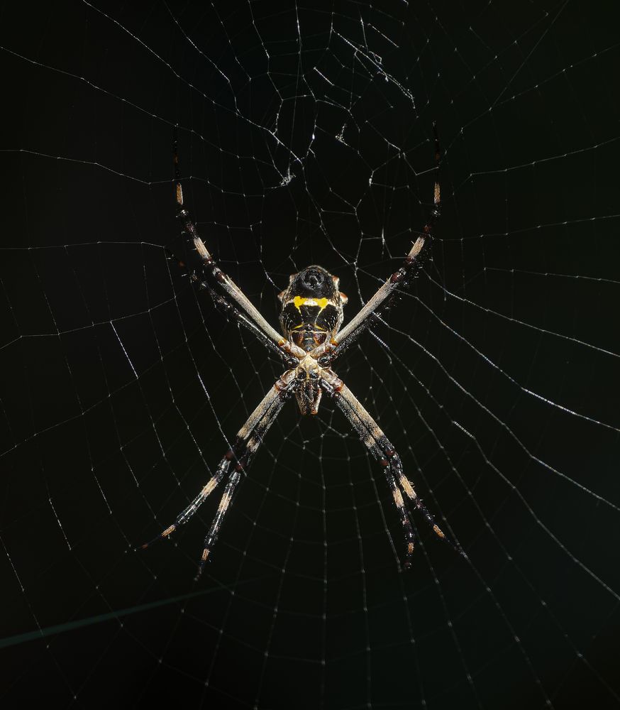 Photograph by Paulo Guerra