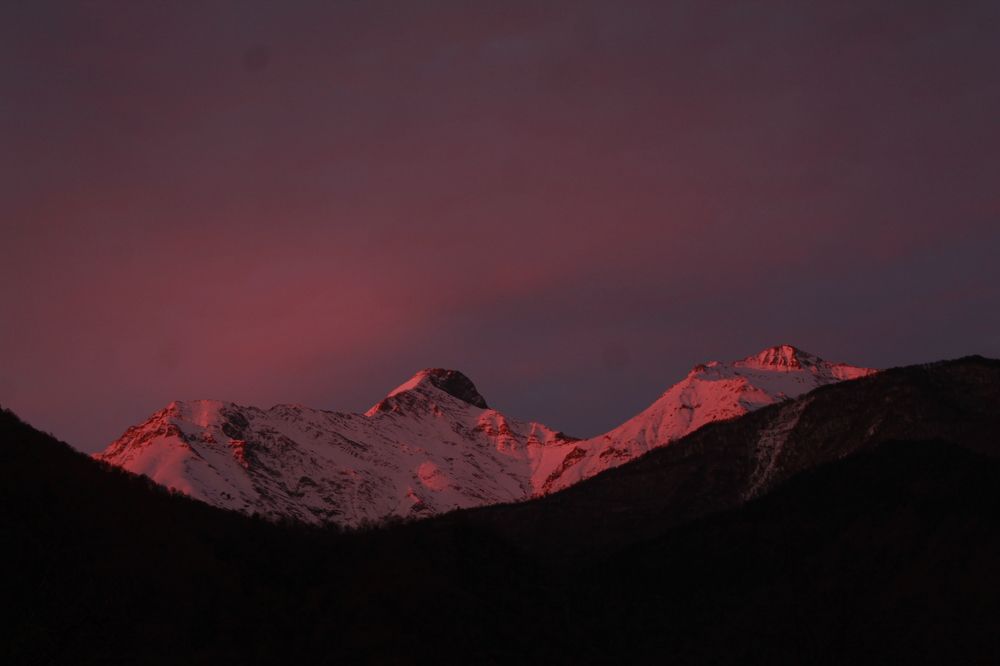 Photograph by Samkharadze Tiko