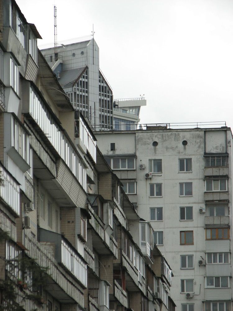 Photo #7066332