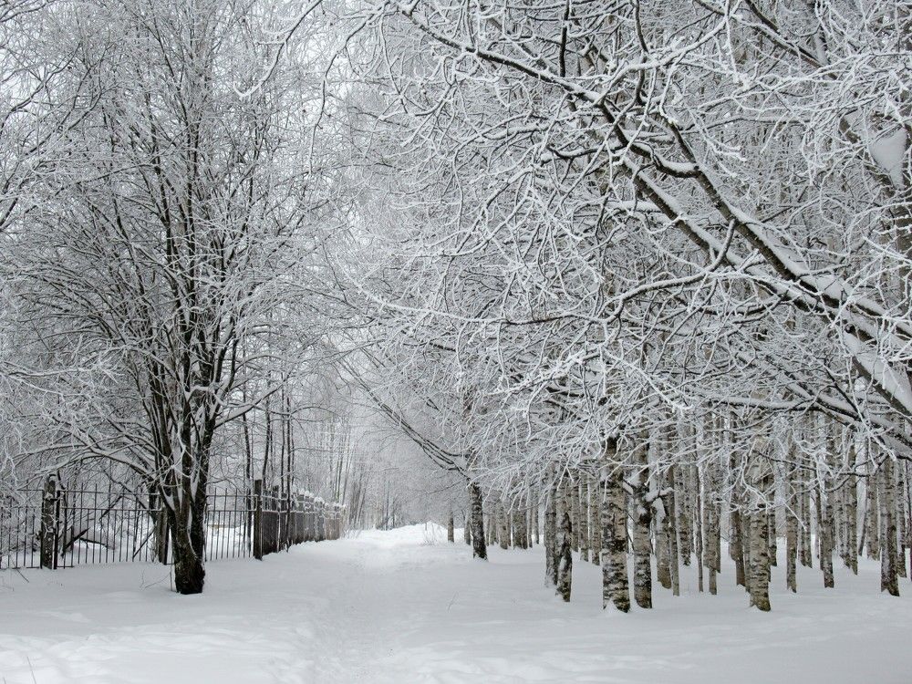 Photograph by Ольга Березовская