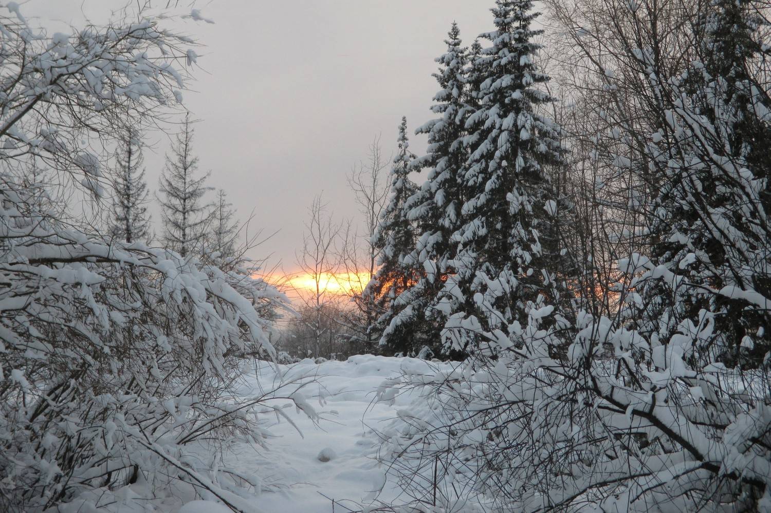 Photo #7066341