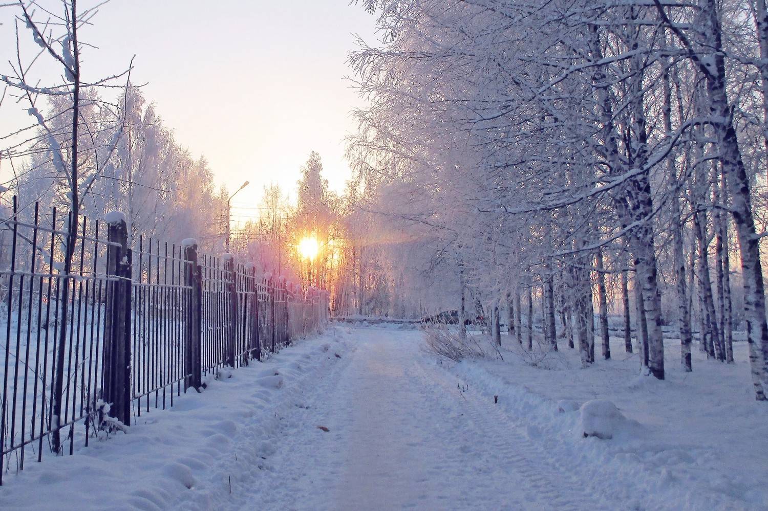 Photo #7066345