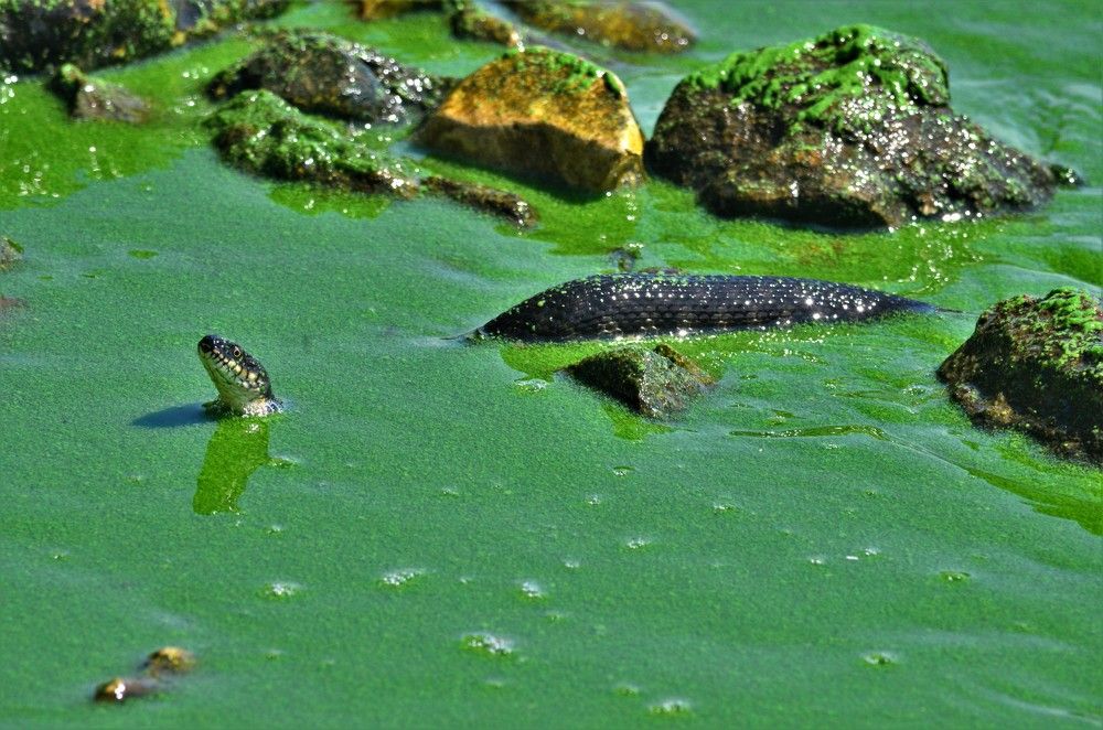 Photograph by Наталья Иванова