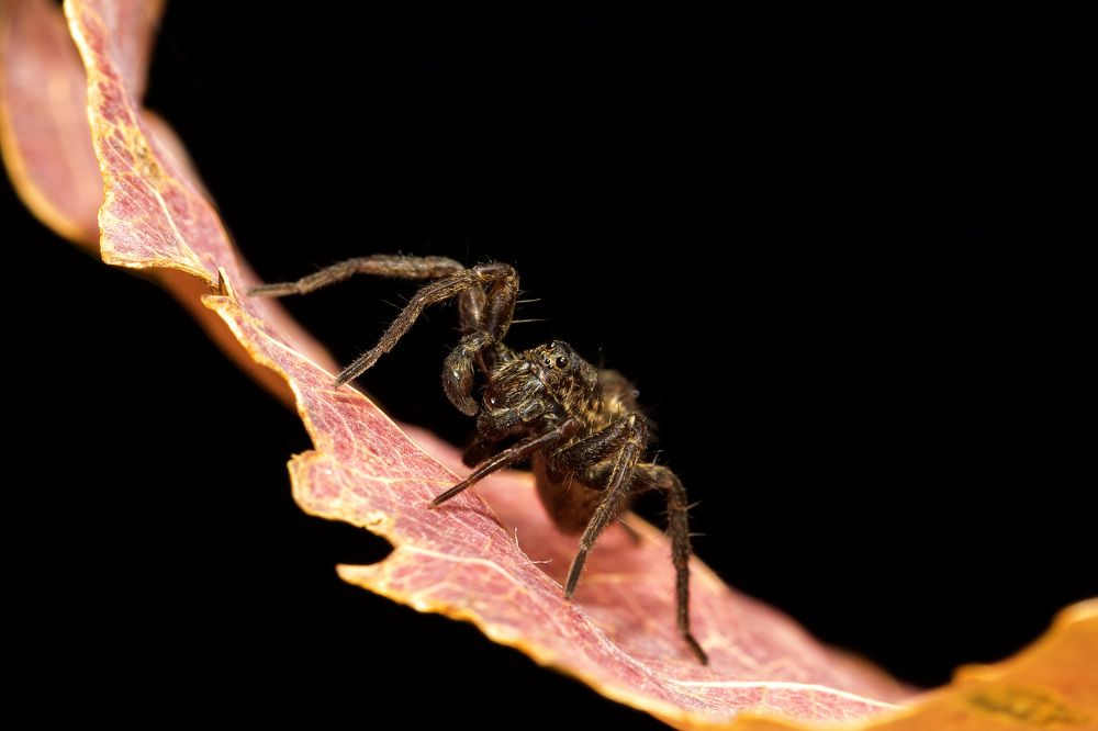 Photograph by Роман Турсков