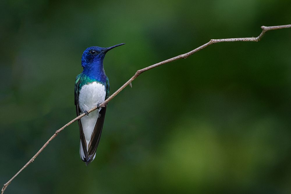 Photograph by Claudio Frateschi