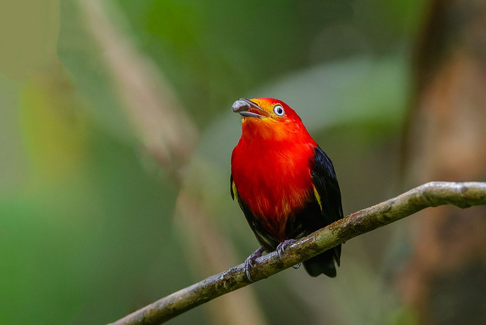 Photograph by Claudio Frateschi