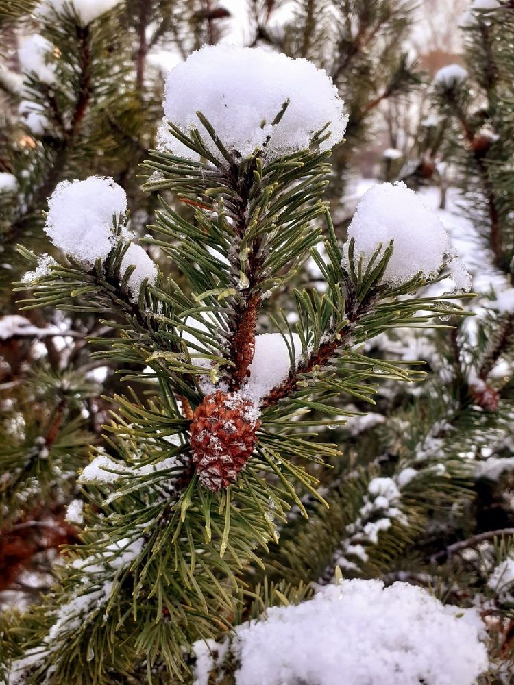 Photograph by Евгения Ульянова