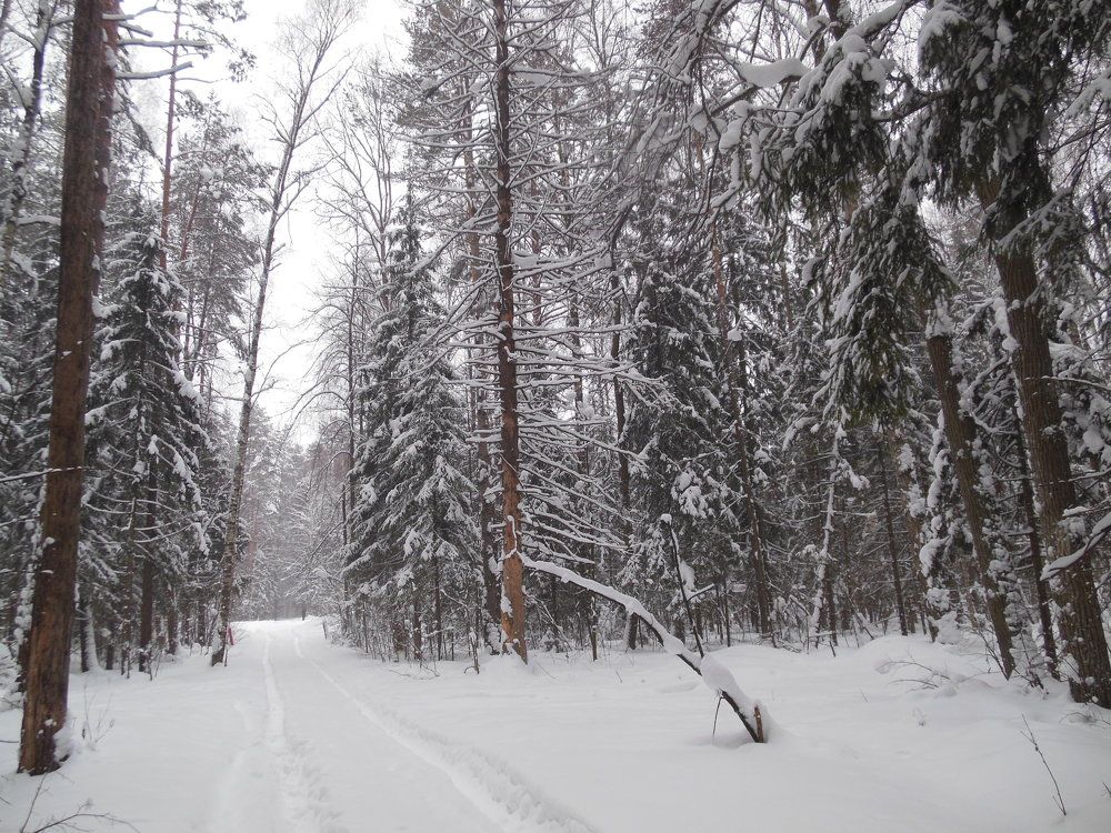 Photograph by Светлана Батурова