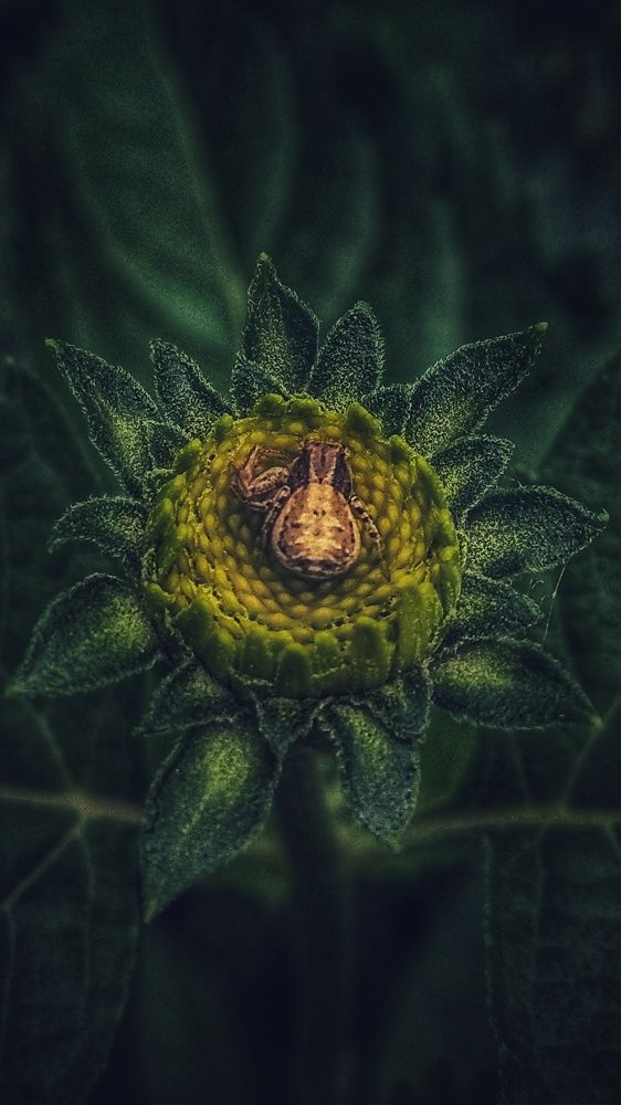 Photograph by Светлана Безъязычная