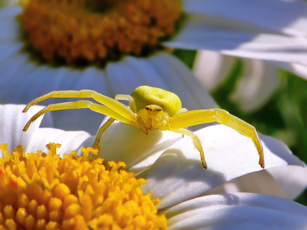 давай обнимемся
