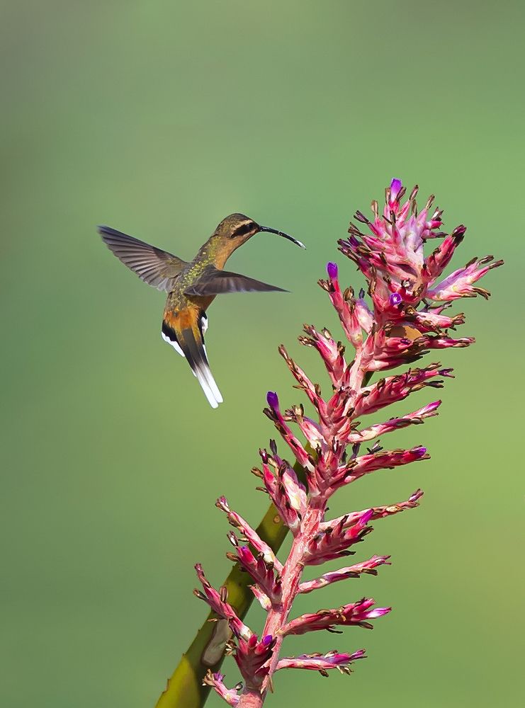 Photograph by Paulo Guerra
